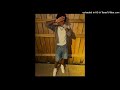 YFG Fatso Rylo Rod Slowed N Reverb