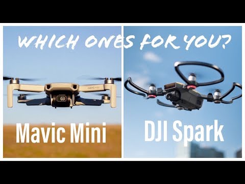 Mavic Mini vs Spark | Worth the Upgrade??
