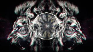 Jimmy Prime - Silver &amp; Chrome