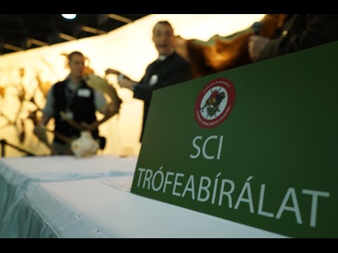 NIMRÓD Percek: SCI trófeabírálat - 2016.03.05-i adás