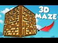 I Built A 3D Cube Maze To Change My Friends Perspective