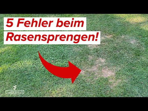 5 Fehler beim Rasensprengen die du unbedingt vermeiden solltest! Den Rasen richtig bewässern!