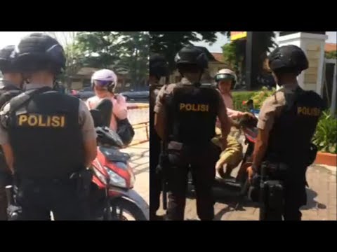 Jahe adalah efeknya pada potensi Extender untuk ulasan anggota pembesaran penis