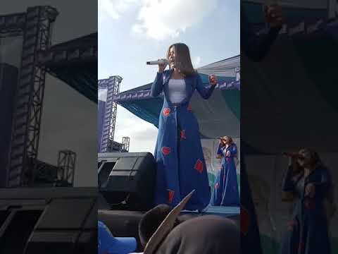 Trio macan di lampung