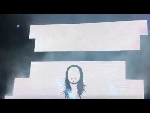 Steve Aoki & Nicky Jam - Jaleo (live)