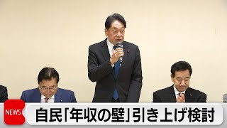 自民党 年収の壁168万円に引き上げる案検討　国民民主党とも協議予定