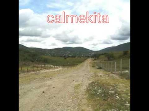 Cadetes de linares - Verde mesquite