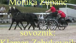 preview picture of video 'Tekmovanje dvovpreg, Lipica 8.5.2010'