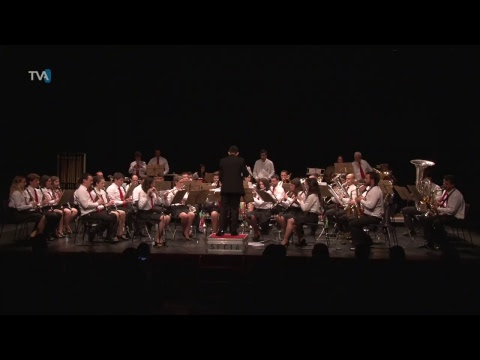 Concerto da Banda da SFCIA - Dia de Portugal