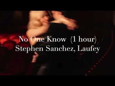 NO ONE KNOWS - Stephen Sanchez, Laufey (1 hour loop)