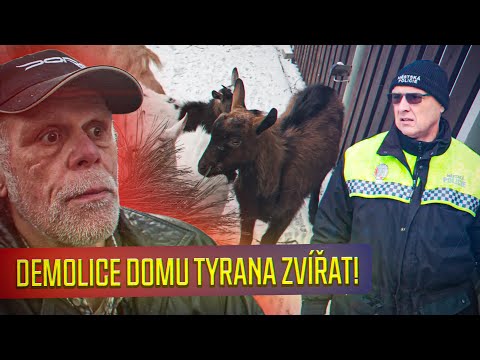 MĚŠŤÁCI PODPORUJÍ TÝRÁNÍ KOZ A IGOROVI NĚKDO UKRADL DALŠÍ ZVÍŘATA... - 3. DÍL