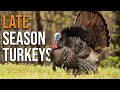 This Is How You Turkey Hunt In The Late Season