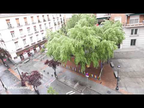 Chic 1-bedroom apartment for rent in Centro, Madrid - Spotahome (ref 313299)