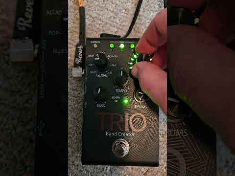 Immagine DigiTech Trio Band Creator 2010's - Black - 11