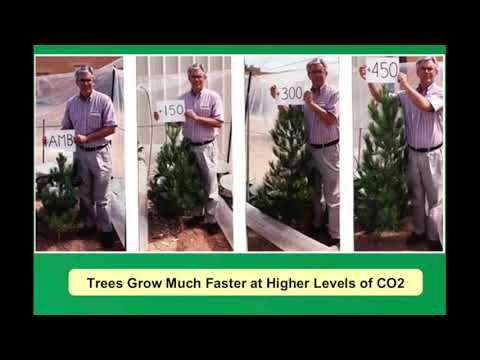 Climate Realism 2 minute Series - CO2   What they hide!