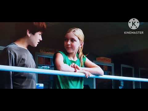 Mein Freund der Delfin