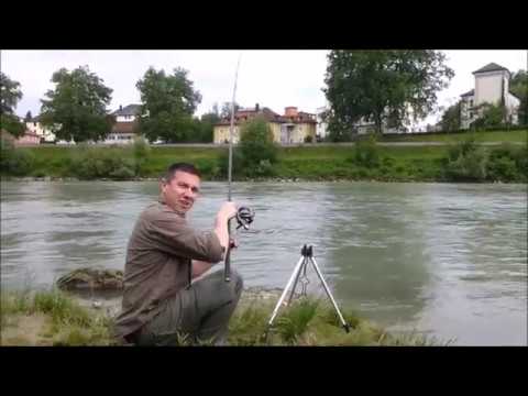 Forellen im Fluss Feedern #fishing #feedshorts #methodfeeder #methodfeederfishing 