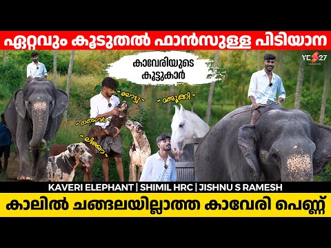 YES 27 and IKKANTE KAVERI