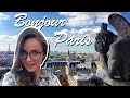 PARIS VLOG #1 Смотровая Нотр-Дам де Пари, Мост Искусств ...
