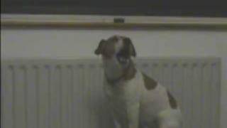 Howling Albert Ayler - Everybody's movin (Intro Only)