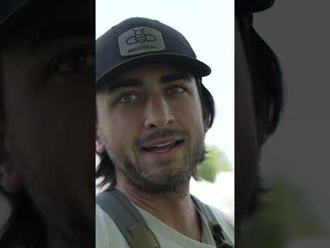 How accurate are Grim Reaper broadheads??? #BEEREAL #shorts