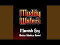 Mannish Boy Ruckus Roboticus Remix