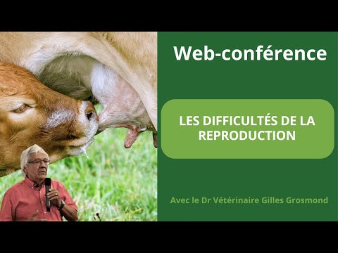 , title : 'Web-conférence  : Comment optimiser la reproduction de son troupeau de bovins ?'