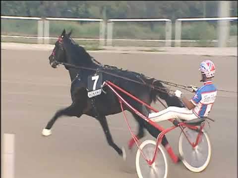 Trotto 22/10/2019 - 7ª corsa