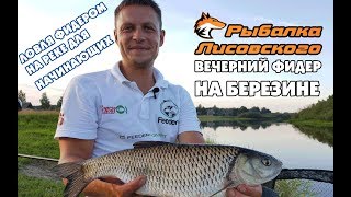 Рыбалка на березине лучшие места