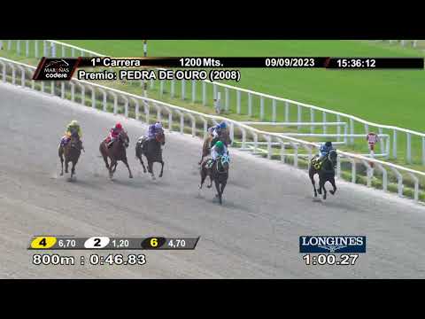 230909 c01 MISS MEXICAN