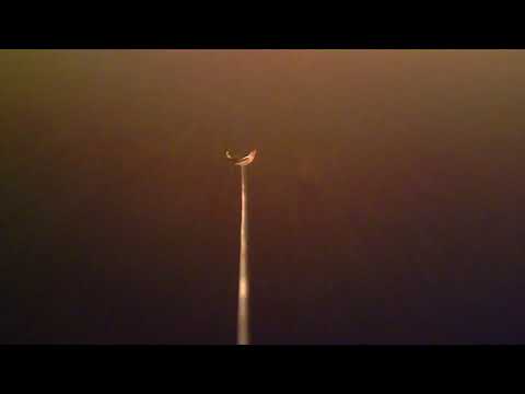 Järvilohi tarkastaa vetopellin uinnin