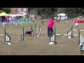 Rocket Rotties Team At Dog Vegas