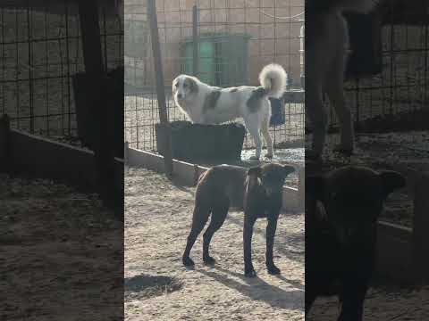 Cosmin 3 05/2025 - Hope for Future e.V.