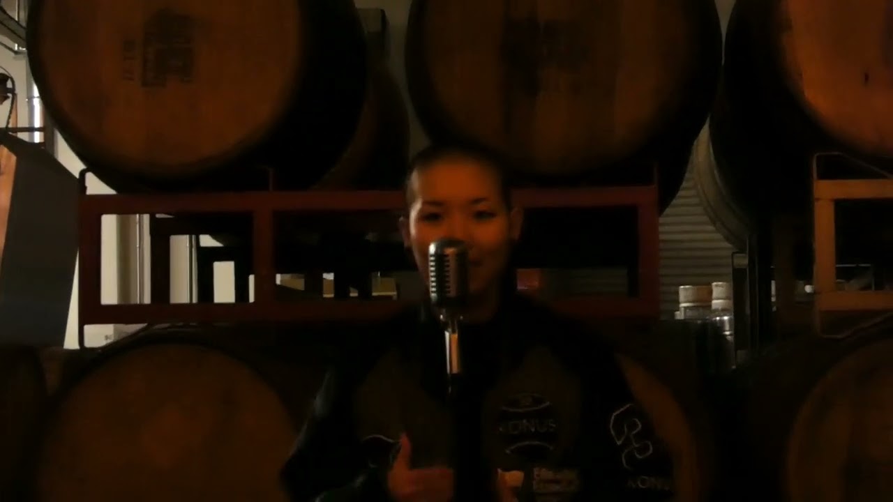 Promotional video thumbnail 3 for Causmosis