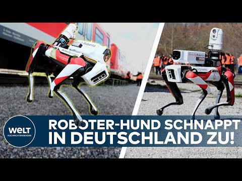 DEUTSCHLAND: S-Bahn in München setzt auf Roboter-Hund "Spot" im Kampf gegen Kriminelle und Sprayer!