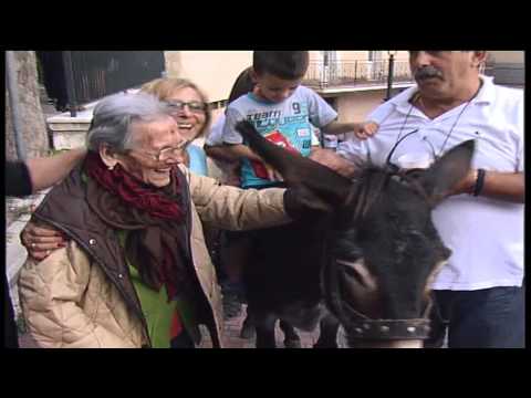 ONDA TG 16.09.2014 - L'ASINO DI IERI E DI OGGI