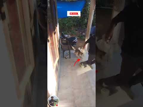 MIDHUN K GOPAKUMAR is 008