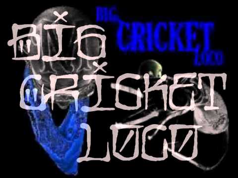 They Lie feat.(Big Cricket Loco & J-Loco)