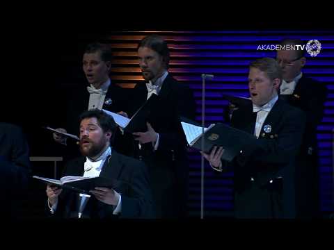 Akademen – Arho: Aih! (20/4/2013)