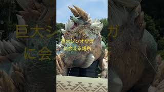 淡路島のニジゲンノモリでモンスターハンターやドラクエ、NARUTOに会える