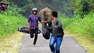 Elephant Chasing Bike Cycle Car & Foot Rider
