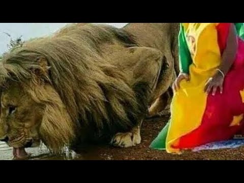 Ukuzalwa wembethe izimpawu zakhona nazi