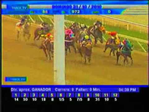 Resumen Domingo 31 de Octubre 2010 - La Rinconada