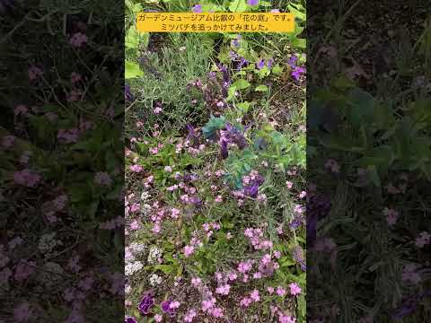 スローガーデニング、ケサコ？ 2023年、穏やかに楽しくガーデニングをするための「スローガーデニング」5原則  庭園