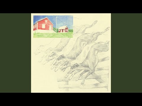 I Punched Through The Wall