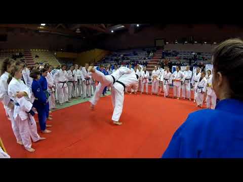 JUDO WINTER CAMP 2018 - 6/1 AFTERNOON TRAINING - ARSEN GALSTYAN