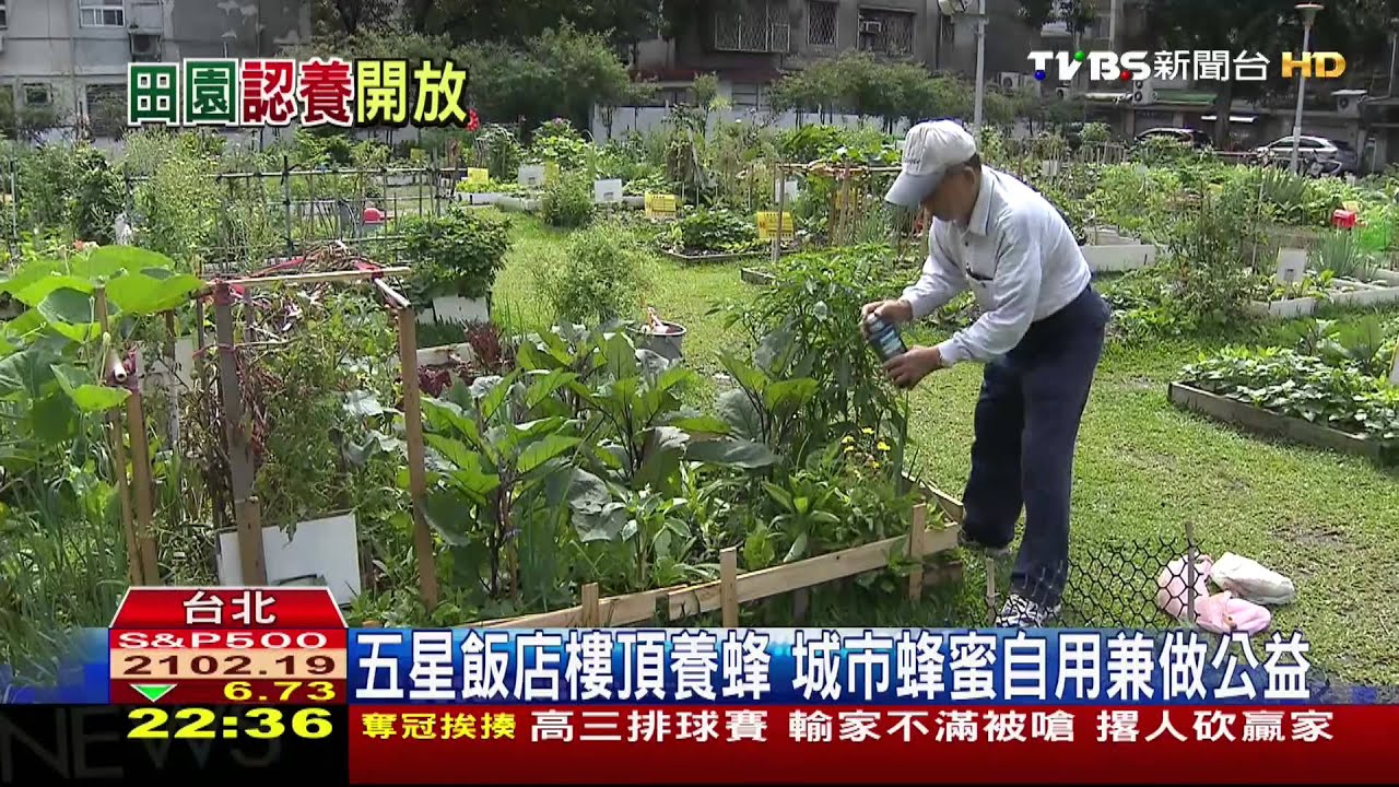 北市「都市菜園」申請起跑 網路登記5月8日公佈