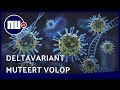Is de dominante deltavariant de definitieve coronavariant? | NU.nl