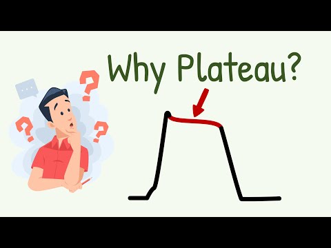 Why & How Plateau is Produced in Some Action Potentials? || Know the Secret Ion Channel Behind It.