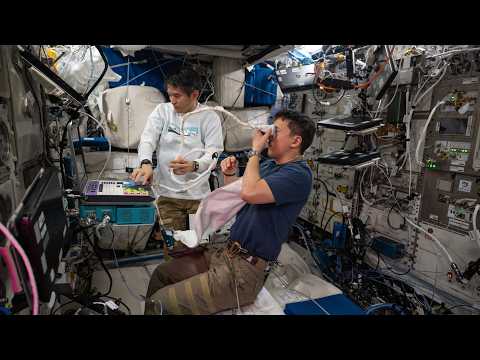 How Does NASA Study Vision and Cognitive Changes in Space? – Thursday, June 11, 2026